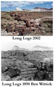 1890 and 2002 Long Logs Comparison (NPS Photo)