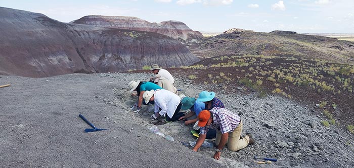 Paleontologist for a Day Class on their way to discovering new fossil at PEFO