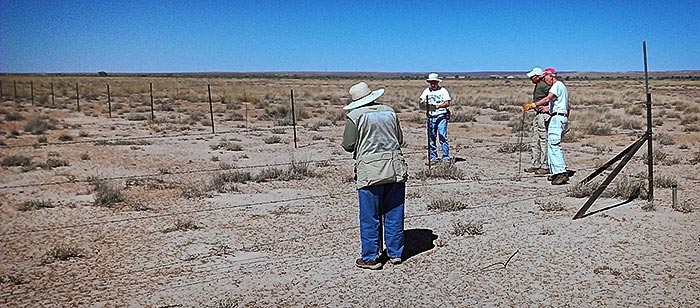 Volunteers clearing fence | NPS Photo