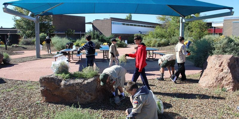 Boy Scouts helping to remove non-native plants during Public Lands Day 2016 | NPS Photo