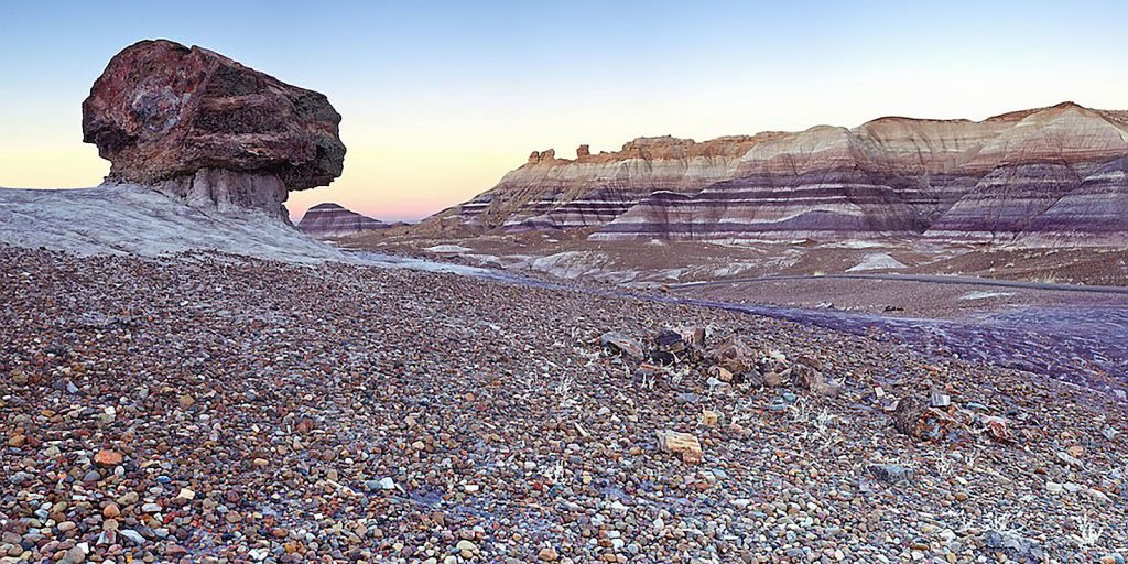 Petrified Forest Museum Association – Supporting the Park in a Myriad of Ways