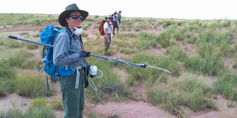 Prairie Dog Project | NPS Photo