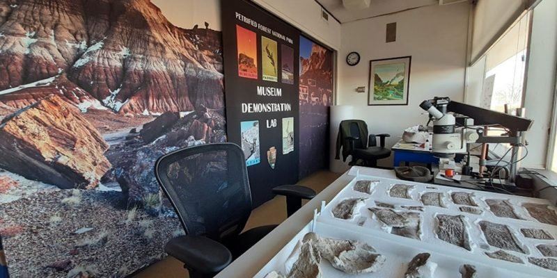Petrified Forest’s Museum Demonstration Laboratory