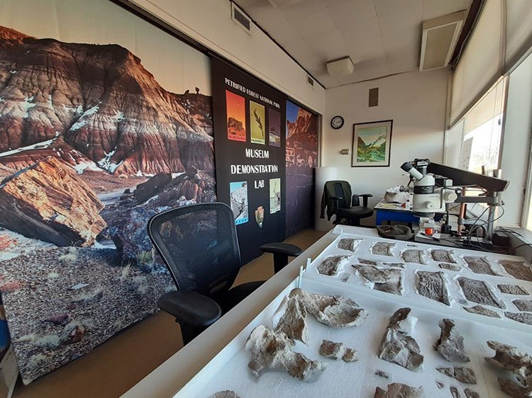 Petrified Forest’s Demonstration Laboratory | NPS/Diana Boudreau Photo