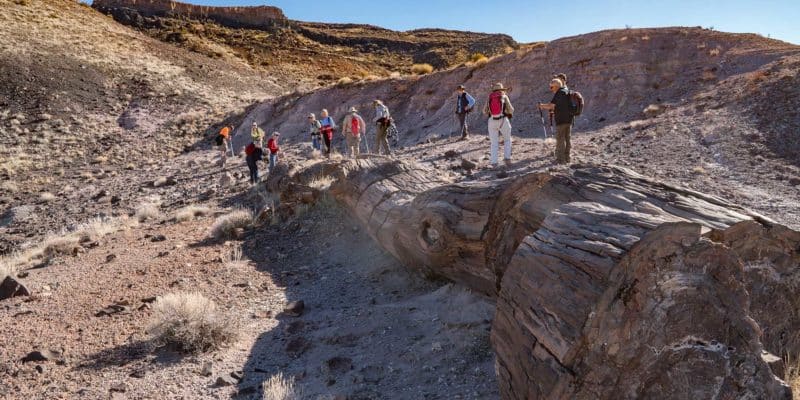 PEFO Guided Backcountry Hikes | Photo by Gary Grube