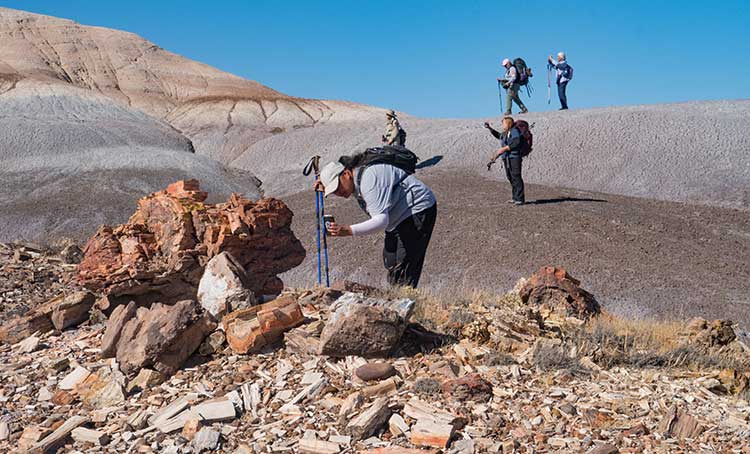 Petrified Forest National Park Guided Backcountry Hikes | Photo by Gary Grube