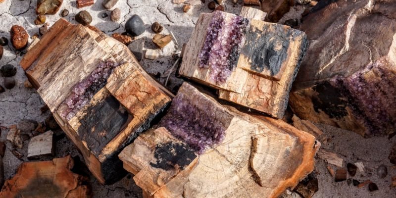 Petrified wood log with amethyst crystals | Photo by Gary Grube